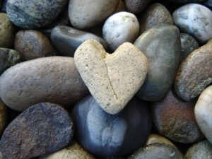 rocks