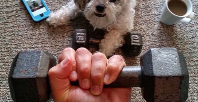 workoutdog